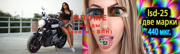 прущие грибы Абдулино