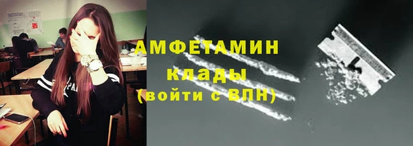 гидра Няндома