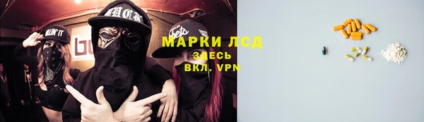 эйфоретик Алзамай