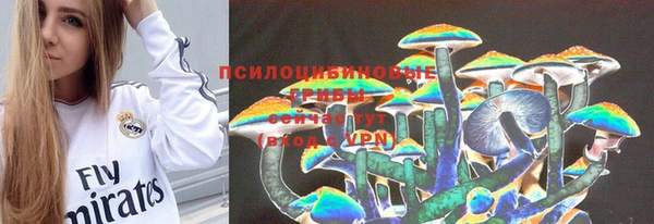 прущие грибы Абдулино