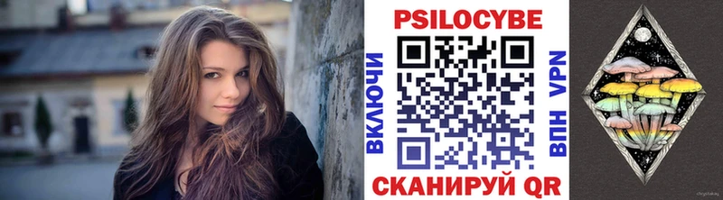 Псилоцибиновые грибы Psilocybe Мамадыш